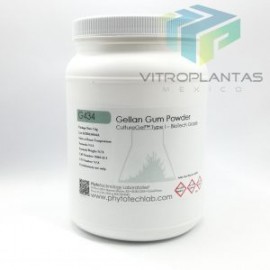 Gellan Gum 1Kg Phytotechnology